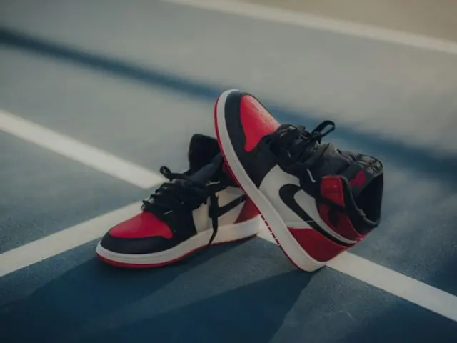 Nike Air Jordan 1 Retro High OG (Лимитированная серия)