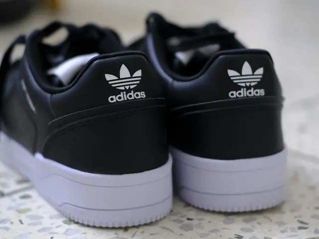 Кроссовки Adidas Yeezy Boost 350 V2 Onyx